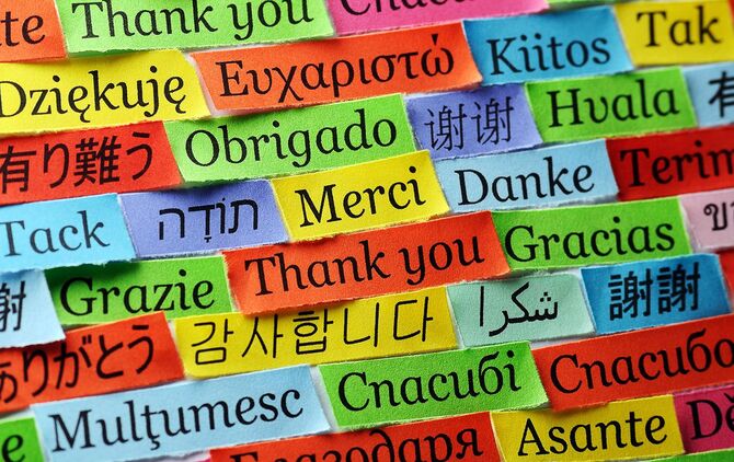 色とりどりの紙に書かれたさまざまな国の「ありがとう」の文字