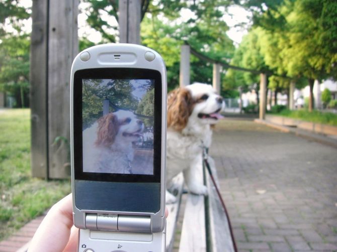 携帯電話を使用した撮影