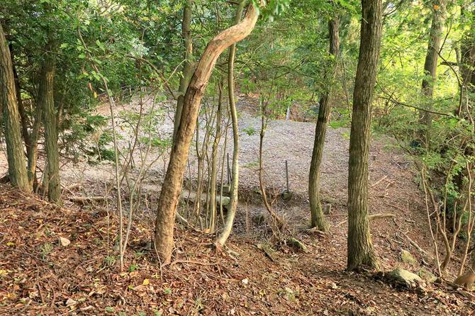 櫓跡の脇あたりから見下ろす「貯水」と二の丸