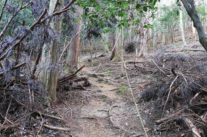 ロープが張られた箇所も
