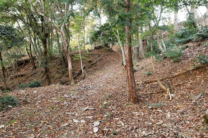 右上に伸びる崖縁の上が主郭