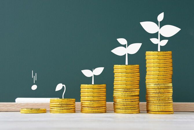 積み上げられた階段状のコインと黒板に描かれた植物の芽