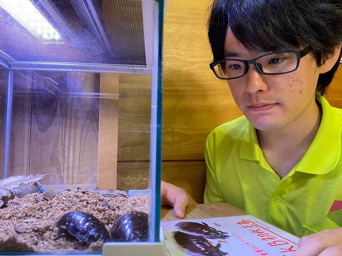ゴキブリを飼育する筆者