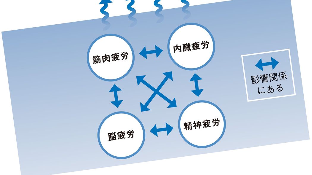 だから｢お腹が固い｣は要注意…知らず知らずのうちに内臓にダメージを与える"身近な食べもの" 理学療法士が警鐘を鳴らす｢内臓と栄養｣の関係