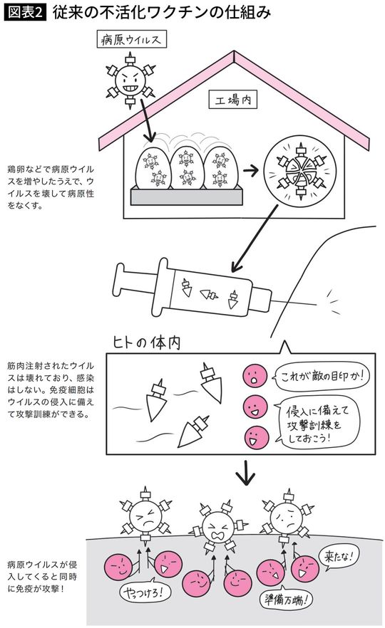 従来の不活化ワクチンの仕組み