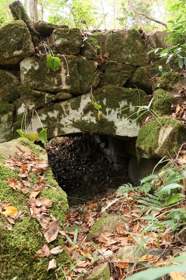 伝木村丸の埋み門