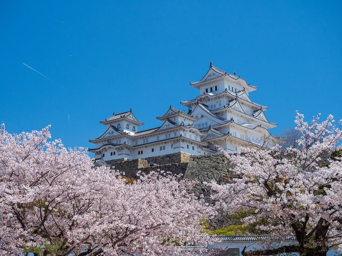 2019年4月13日、桜と姫路城