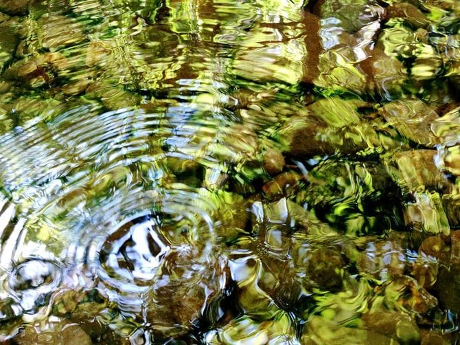 澄んだ水に波紋