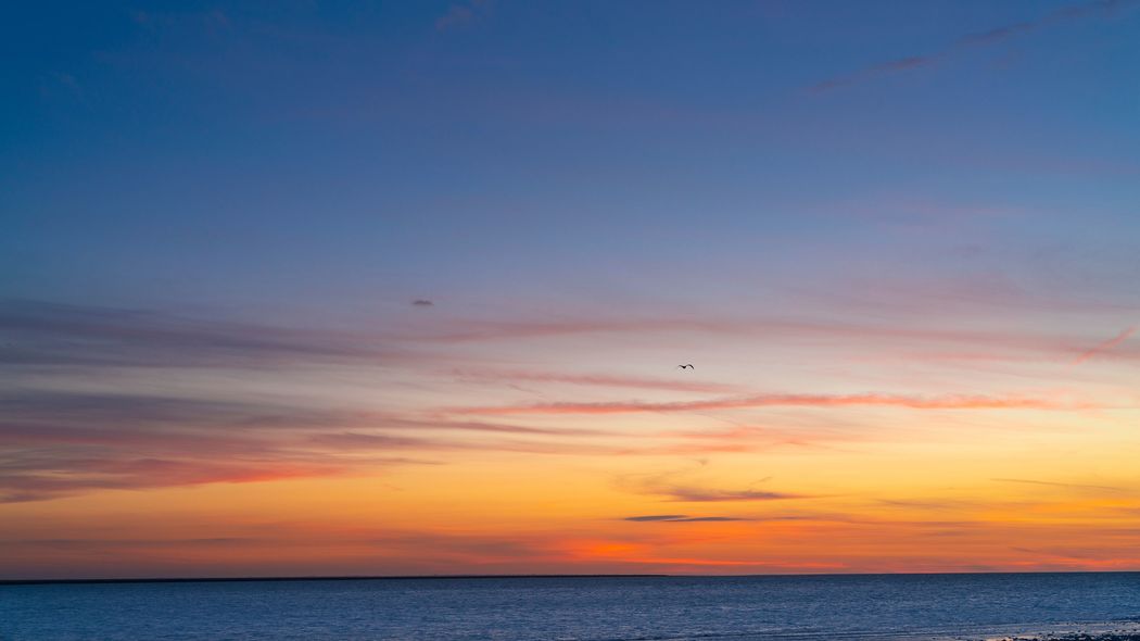 《実録》死を覚悟して見えた｢残りの人生でやりたいこと｣ ステージ4のガン､4回の臨死体験､若年性脳梗塞