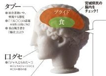 宮城県民――東北一の都会派を気取るも、消極的なのんびり屋