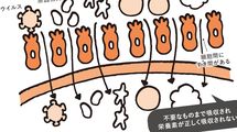 便秘･下痢が続いている人は要注意…食べても食べても栄養がムダになる｢腸漏れ｣を放置してはいけない