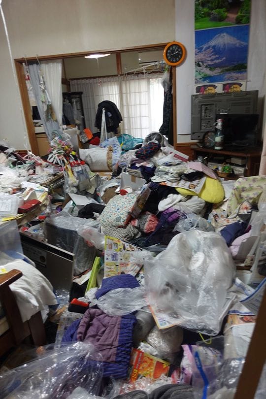 ちょっと物が多いレベルでは……