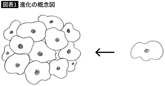 【図表】進化の概念図