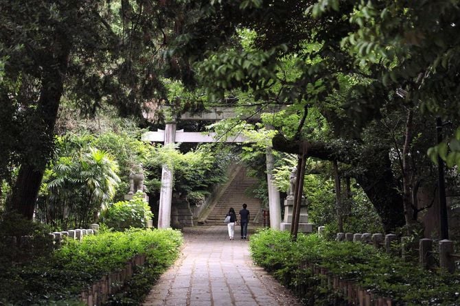 東京・赤坂氷川神社の鬱蒼とした境内
