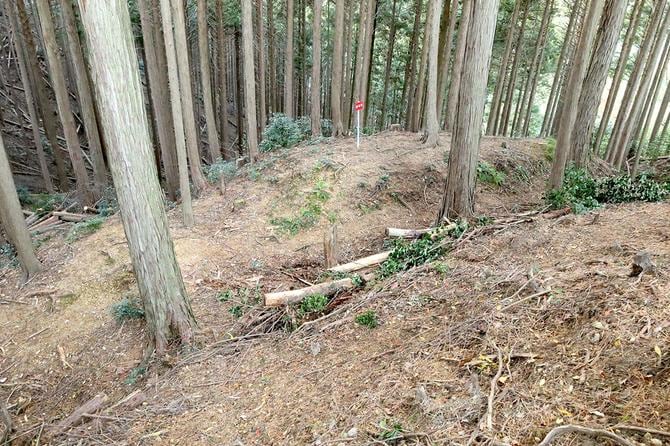 尾根は幅10数mあるが両端まで堀切が伸びる