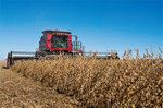 広大な土地を使って機械化された農業を、少人数で営む海外の農場風景。（Bloomberg/Getty Images、PANA＝写真）