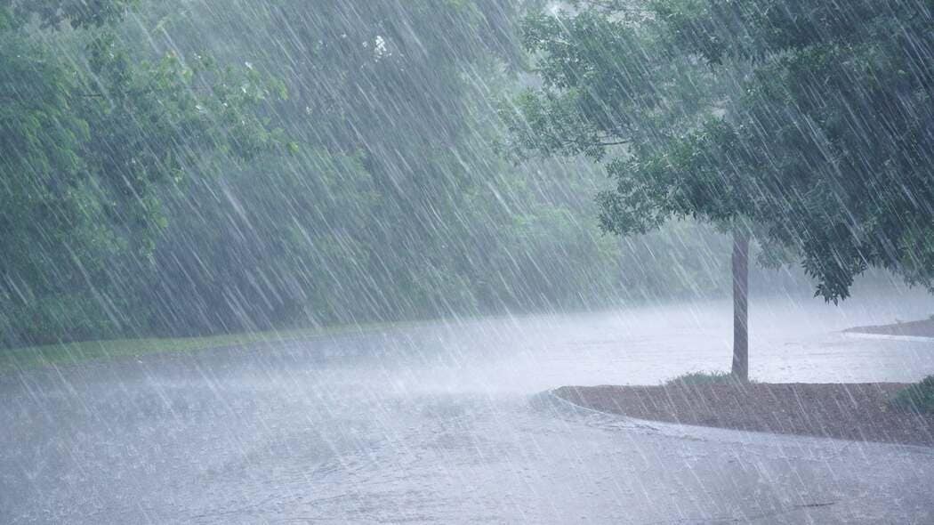 やっぱり｢滝のように非常に激しく降る雨｣は増えていた…東大教授｢雨の降り方も変化する｣これからの豪雨