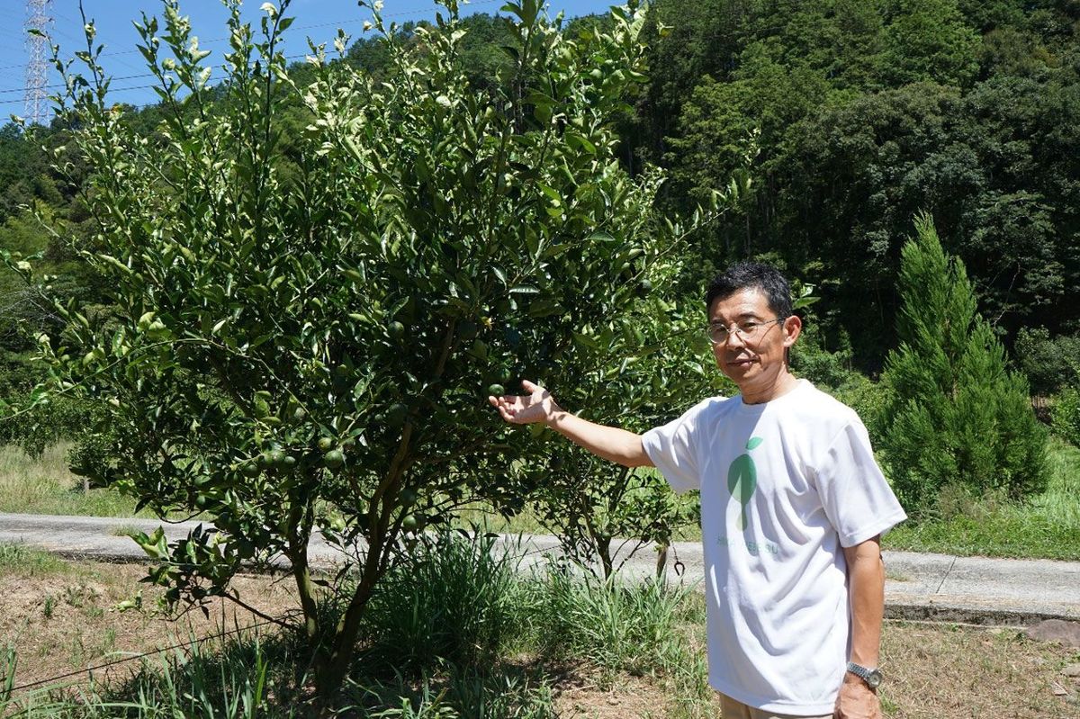 へべすの大規模生産に参入した内山雅仁さん