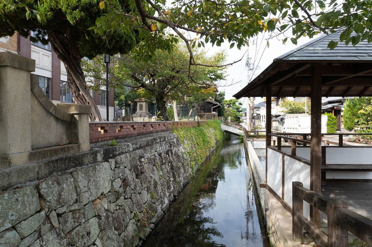 江戸から昭和初期までの多様なまち並みが色濃く残るたつの市「重伝建」の面積は約15.9haで、全国トップレベルの広さ