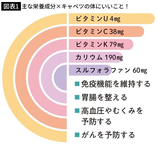 【図表1】主な栄養成分×キャベツの体にいいこと！
