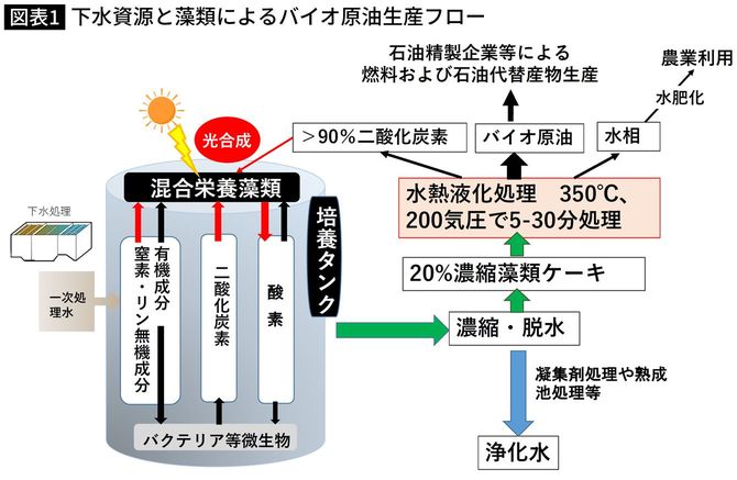 【図表】下水資源と藻類によるバイオ原油生産フロー