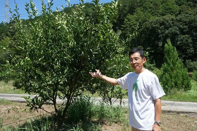 へべすの大規模生産に参入した内山雅仁さん