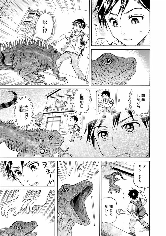 『珍獣のお医者さん』©二宮香乃／KADOKAWA