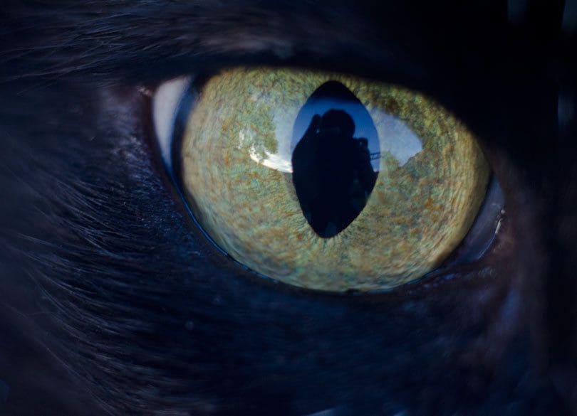 なぜ「相手の目を見て話す」と損するか？