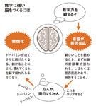 数字に強い脳をつくるには