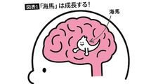 AI頼りの生活で脳は劣化し老化する…脳内科医が｢記憶力を著しく損なう｣と危惧する"現代人の行動"