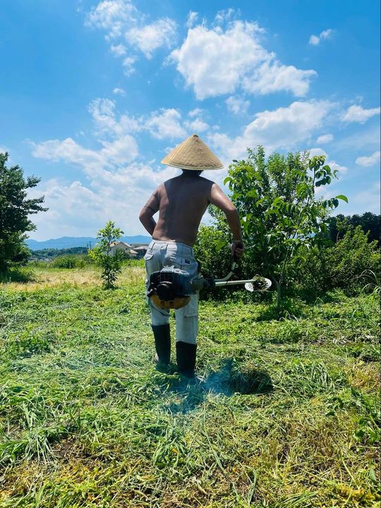 畑で草刈りをする鹿山さん