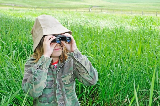 机上の勉強よりフィールド調査で才能を発揮することも