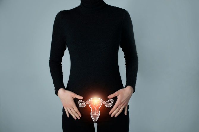 子宮のイメージ