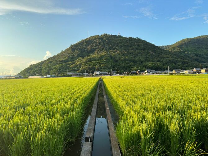 田園風景