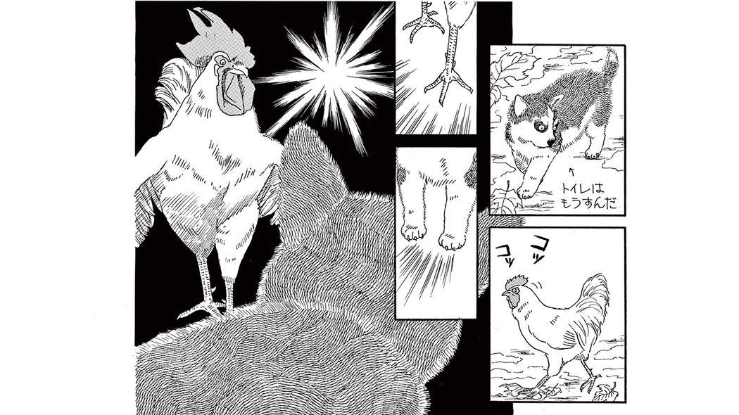 子犬のチョビが､凶暴なニワトリ･ヒヨちゃんと初対面!――『新装版 動物のお医者さん』第1集 第2話 ｢コミック『新装版 動物のお医者さん』｣