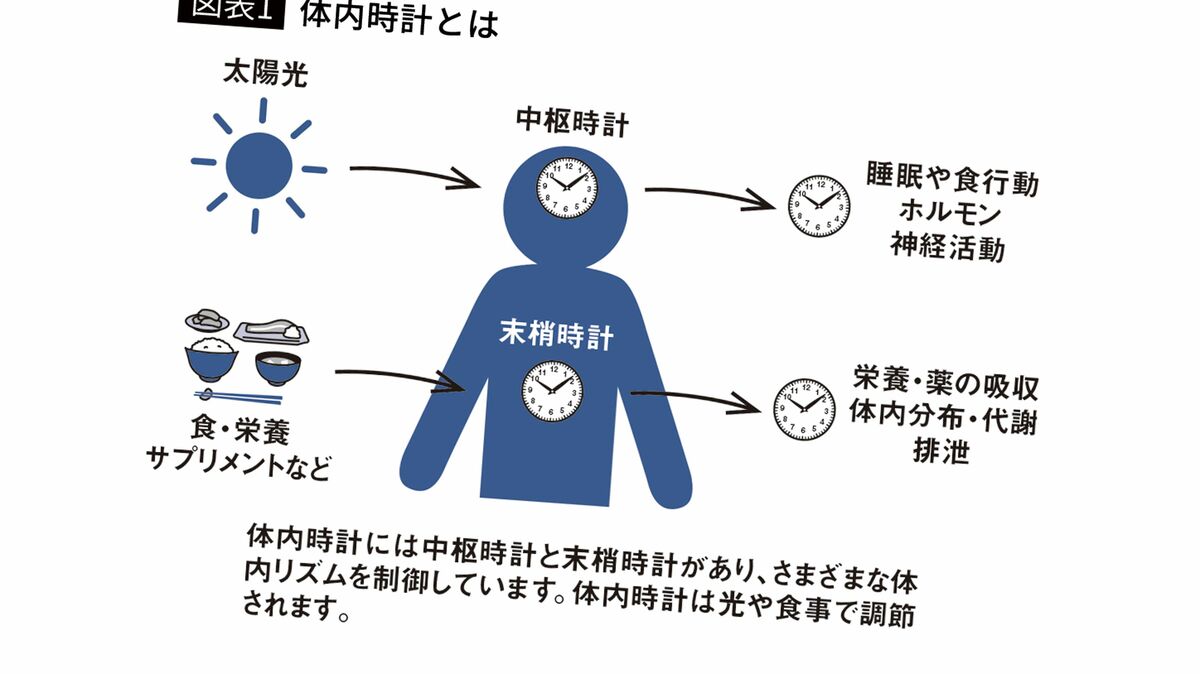カフェ イン 体 に 悪い 理由