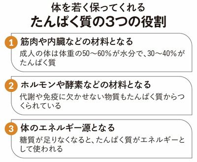 【図表】たんぱく質の3つの役割