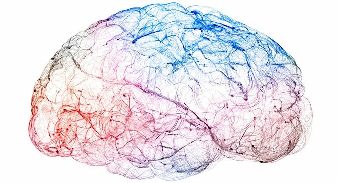 脳の神経回路のイメージ