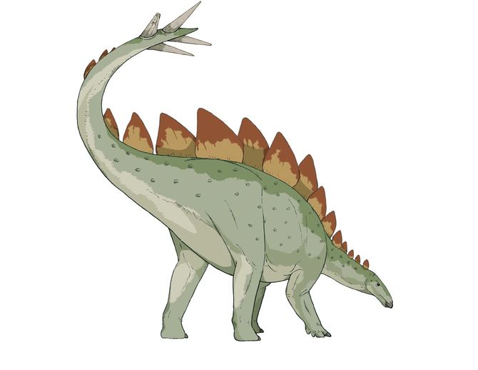 ステゴサウルス