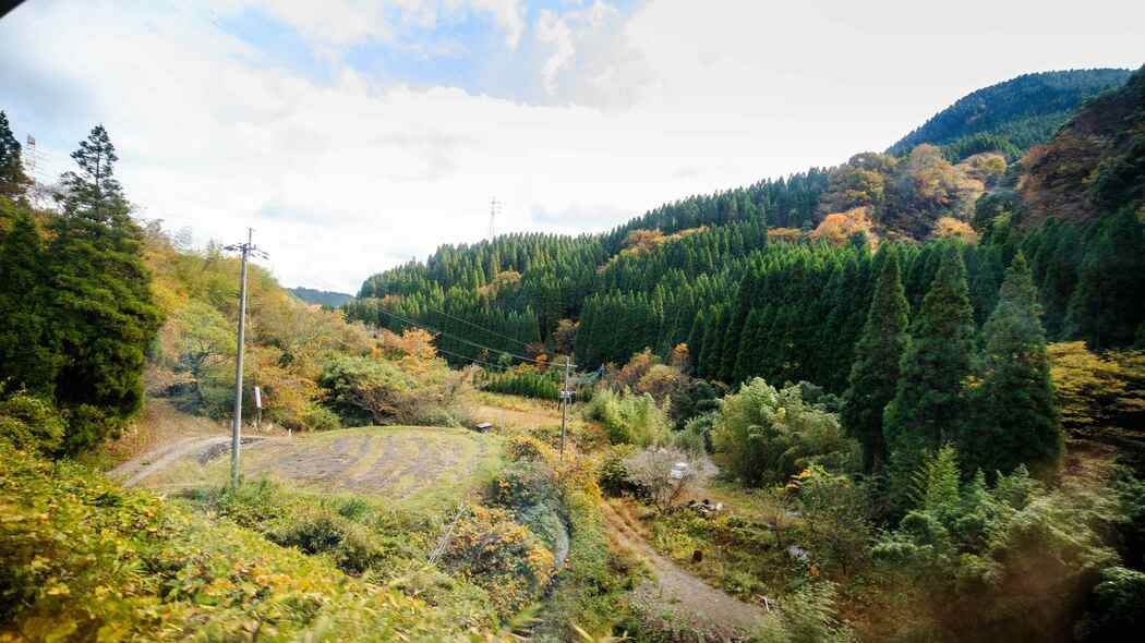 無料の山菜を採りに行くのに1400円かかる…山で生きる俳優･東出昌大が痛感した｢田舎暮らしは安い｣のウソ