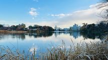 東京なのにスイスの高地にいるような感覚に浸れる…仕事のモヤモヤを解消する｢1時間デジタル解毒｣の穴場