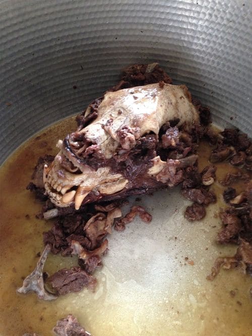 見た目も味も忘れられない熊の脳みそ