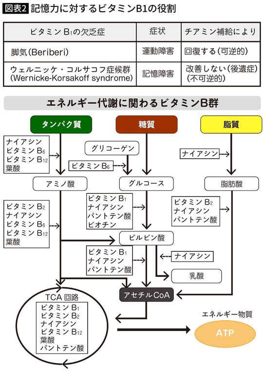 【図表】記憶力に対するビタミンB1の役割