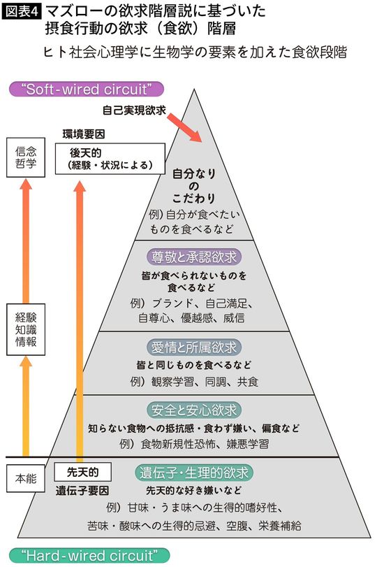【図表】マズローの欲求階層説に基づいた摂食行動の欲求(食欲)階層