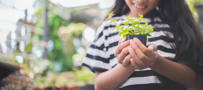 葉が芽生え始めた小さな鉢植えを手に持つ女の子