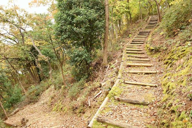登山道は整備されているが勾配は険しい