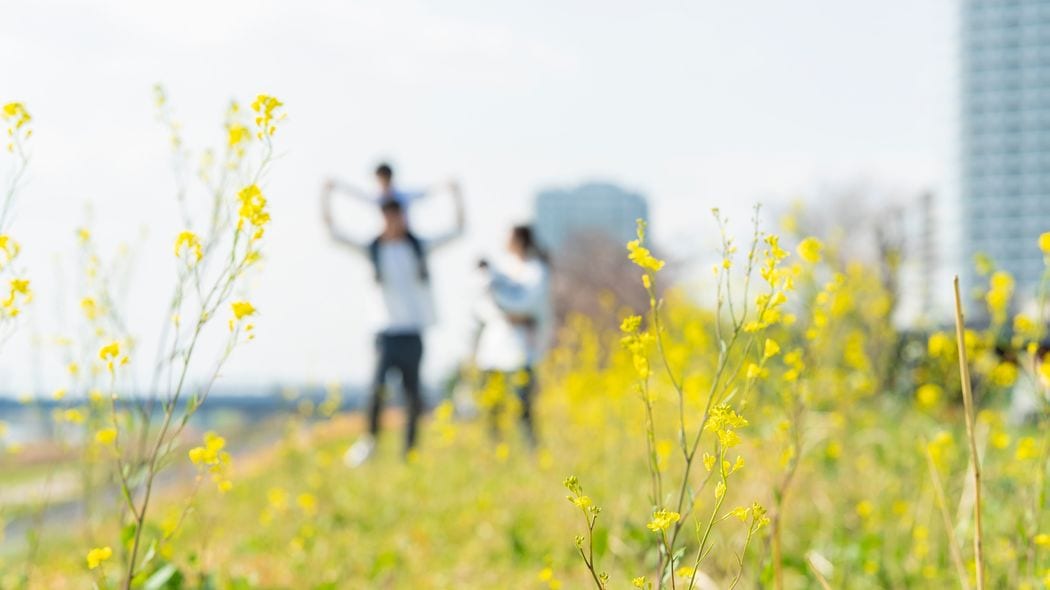 首都圏外で唯一｢中古マンション値上がりエリア｣ベスト10に…子育て世帯がこぞって明石市に移り住む理由 政策のポイントは｢中間層以上の人たちが得をする｣こと