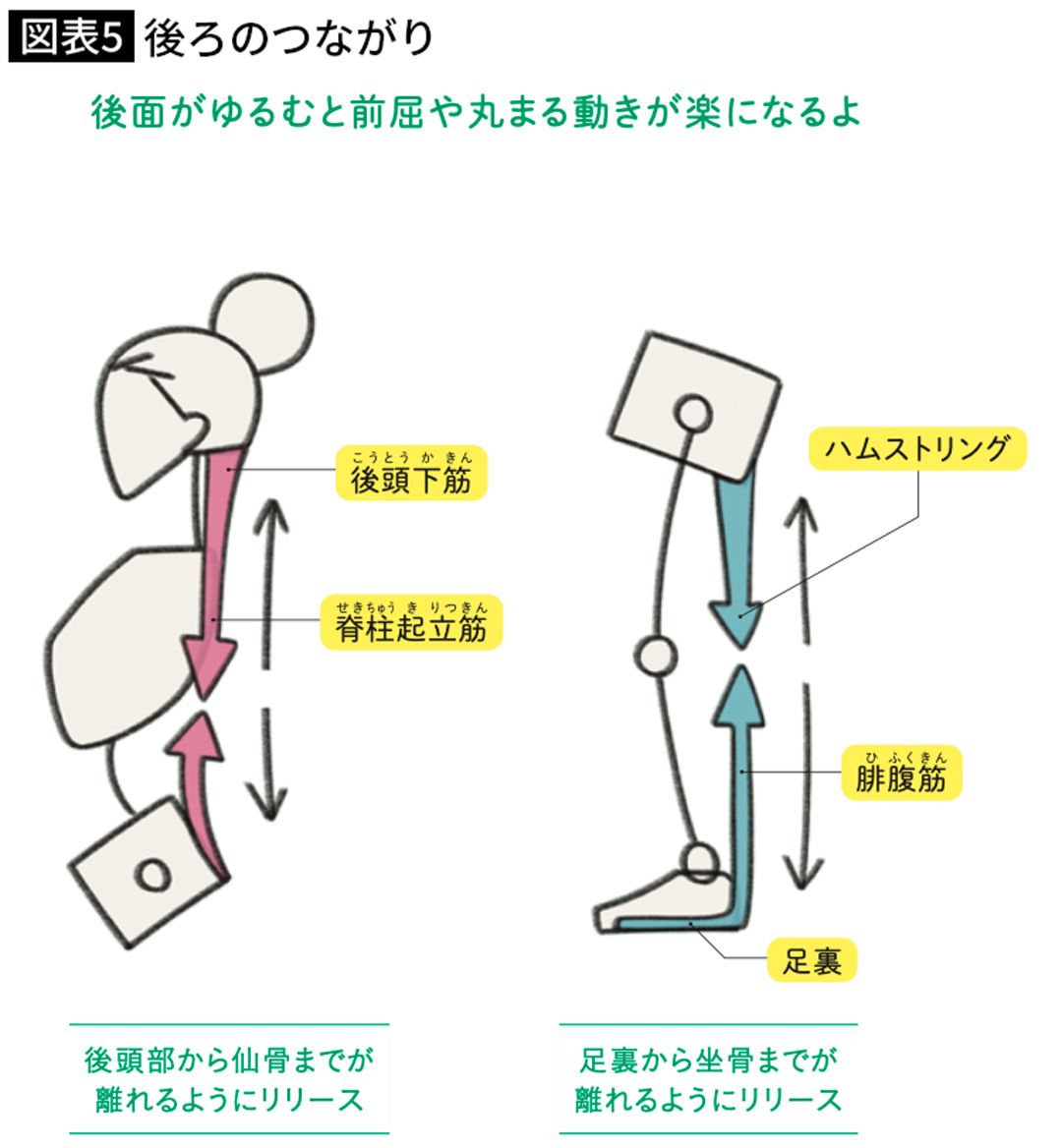 後ろのつながり