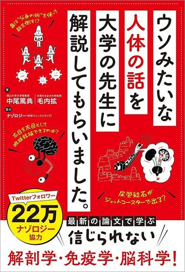 ビッグサンダーマウンテンに乗って尿管結石が出た人続出…実証研究で排石率は先頭席12.5%､最後部席63.9%  乗馬やヨガで振動やGの力を利用して石を動かす画期的治療法も (3ページ目) | PRESIDENT Online（プレジデントオンライン）