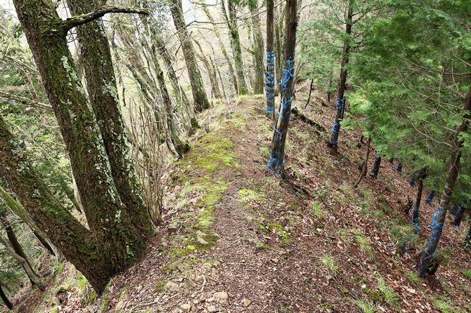 左右いずれも真っ逆さまの南東尾根